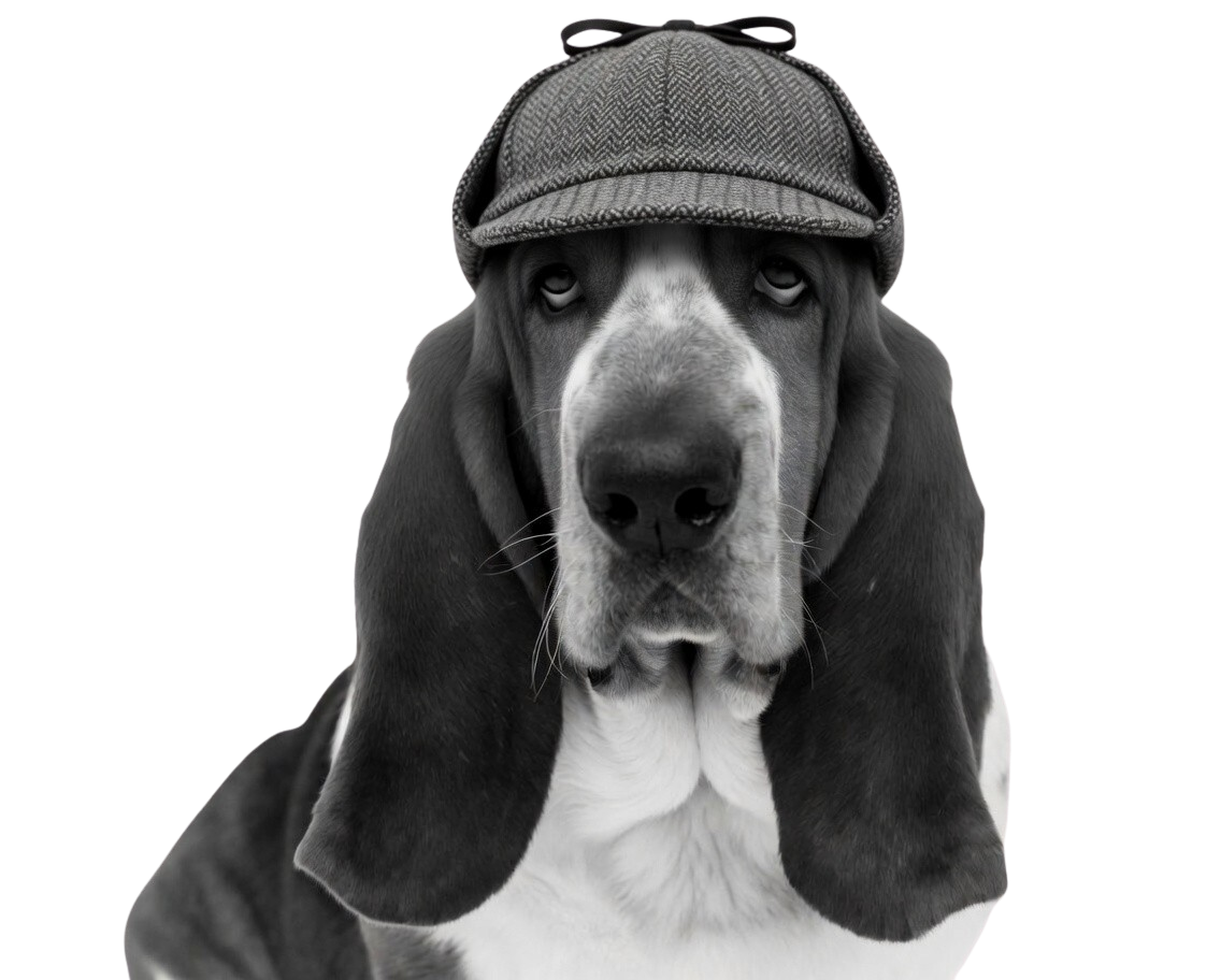 A basset hound in a detective's deerstalker hat — the marketing watchdog on the case.